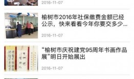 榆树市最新新闻爆料,揭秘重大事件背后的真相